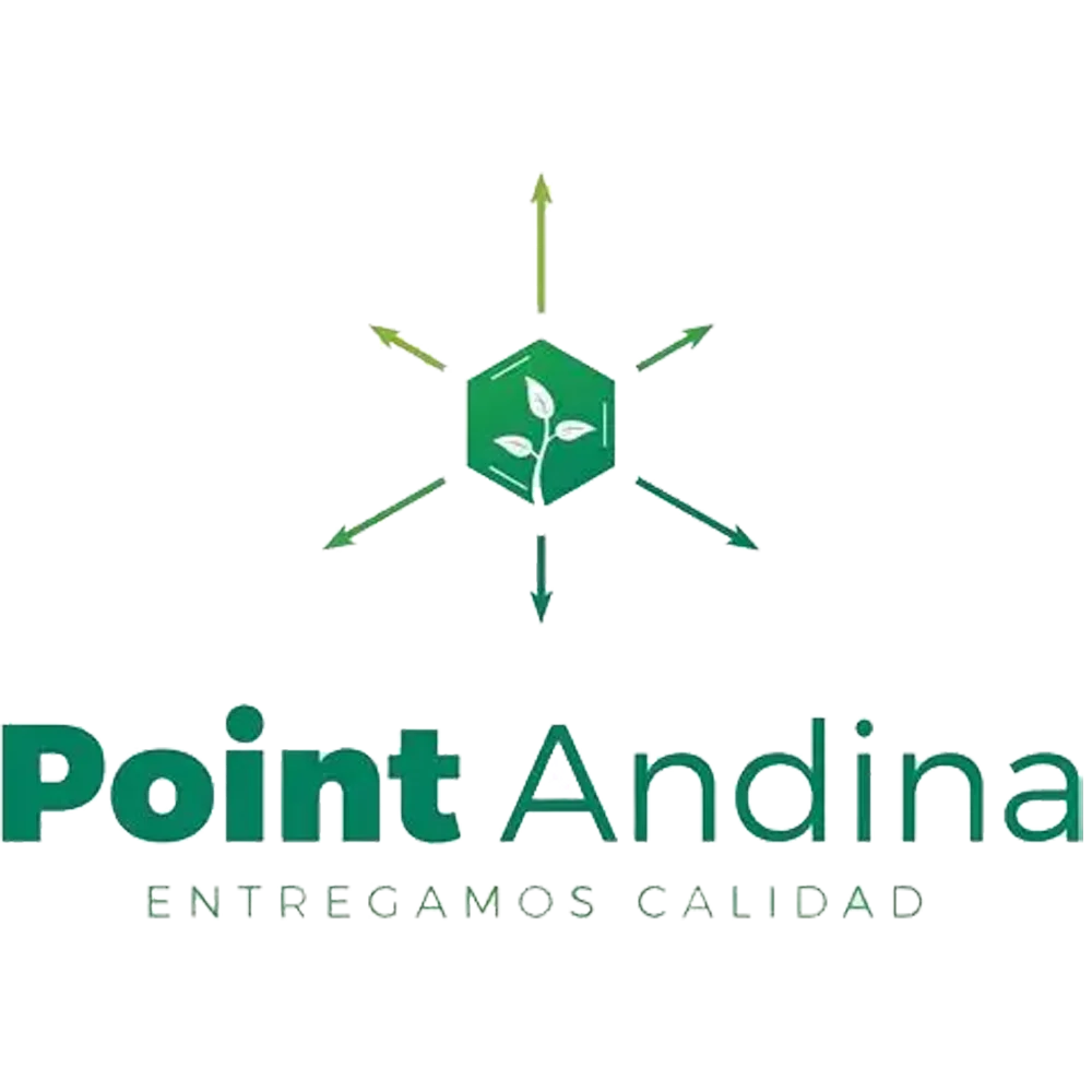 Point Andina
