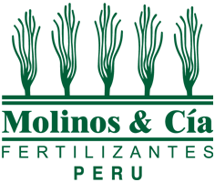 Molinos & Cia