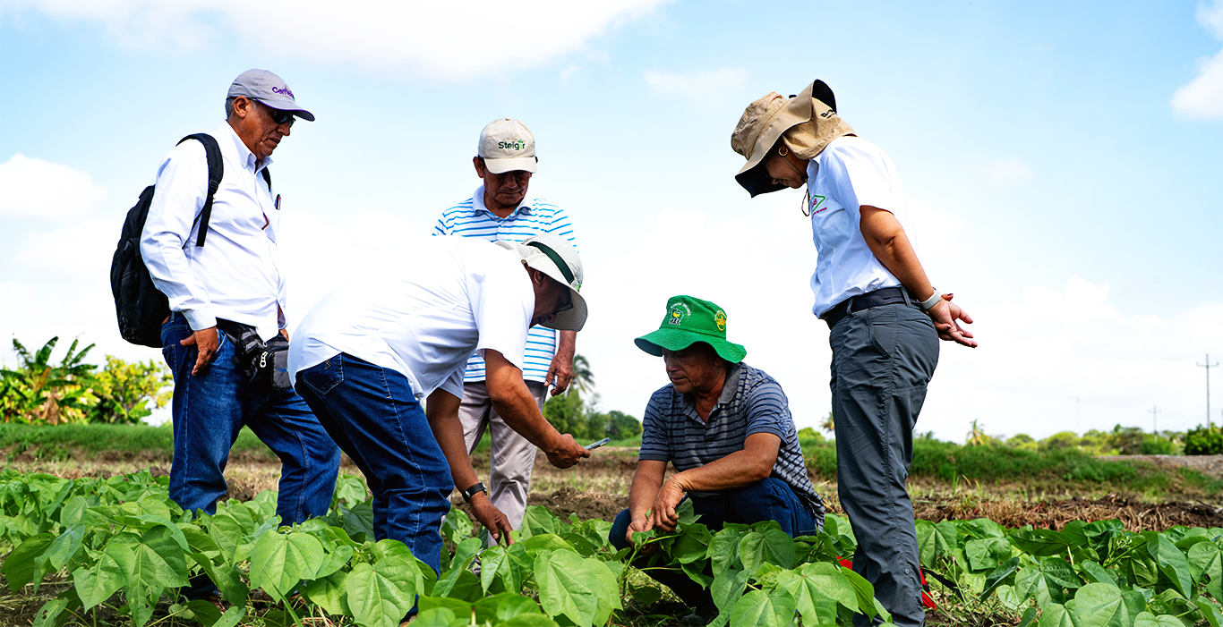 Banner Innovación y Confianza en el Agro del Norte
